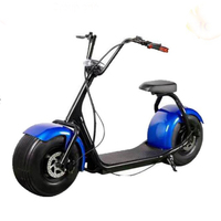 High Quality 1000w Citycoco Scooter, 60V Lithium Battery from Angelol